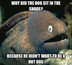 252,183 likes · 12,341 talking about this · 42 were here. Eel Quotes Quotesgram