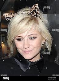 Pixie cat hi-res stock photography and images