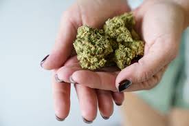 Image result for Marijuana