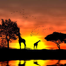 Coucher De Soleil Africain Tuto Photoshop Les Meilleurs Tutoriaux Photoshop Gratuit Coucher De Soleil Africain Paysage Peinture Facile Coucher De Soleil