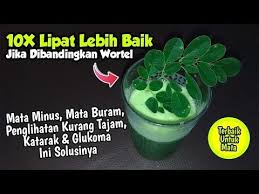 Obat Sakit Mata Alami Paling Ampuh Mata Minus Buram Penglihatan Kurang Tajam Katarak Glaukoma Youtube Perawatan Mata Tanaman Obat Mata Alami