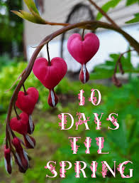 Vintage barn and root cellar found in upstate New York