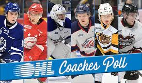 Ashok patel is the chief executive officer of ohl north america, a major unit of the ohl group. 2018 19 Ohl Coaches Poll Winners Ontario Hockey League