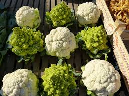 Risultati immagini per cavolfiore