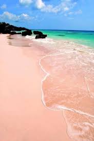 The song features three of the main characters—uniqua, pablo, and tyrone—who are castaways on a desert island. Tori Heikenfeld Italiandiva33 Profile Pinterest