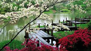 17 beautiful garden wallpapers for desktop a garden is an arranged space, generally outside, put aside for the show, increase, and pleasure in plants and different types 273 garden hd wallpapers and background images. Wallpaper Gardens Posted By Ryan Simpson