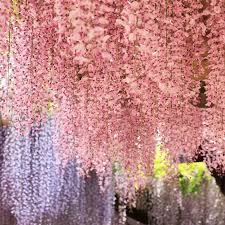Pin On Spring Time
