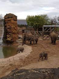 Chester Zoo Chester Cheshire West And Chester Chester Zoo Zoo Chester