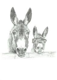 A4 Print Two Donkeys Animal Drawings Horse Drawings Animal Paintings