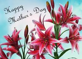 Draw a line to match babies animals with their mothers puzzle. Mother S Day Card Pictures And Ideas