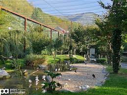 Il présente les animaux de cette région dans de vastes espaces où ours, loups, isards, marmottes. Ca Y Est Le Site D Argeles Gazost Accueille A Nouveau Le Public Sur Ses 14 Hectares Ses 600 Pensionnaires De 100 Especes Differentes Vous Attendent En Toute Securite Presselib