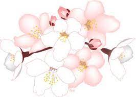 Cherry Tree Blossoms Flower Clip Art Cherry Blossom Clip Art Flower Clipart Blossom Flower