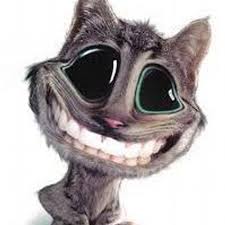 6,024 likes · 3 talking about this. Twitter à¤ªà¤° Videos Chistosos Animal Print Unas Diseno Leopardo Estos Disenos De Animal Print Isnpirados En El Leopardo Son Super Divertidos Http Bit Ly M19ril