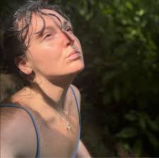 How to relocate a honey bee hive in St. Pete area?