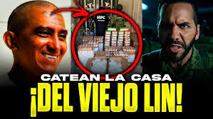 Como ordeñar un vaca, artesanal con la mano en campo con ternero, ordeño,  leche y ganado @TVdigital