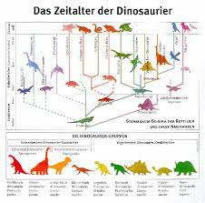 Dies ist von vor etwa 225 millionen jahren bis zu 66 millionen jahren. Wann Wurden Dinosaurierknochen Als Solche Erkannt