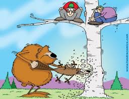 Tundra Gallery Cartoon Jokes Funny Funny Cartoons