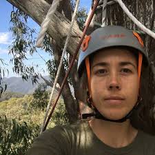 Friends of Kalang Headwaters tree-sit