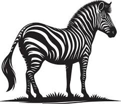 Image result for zebra