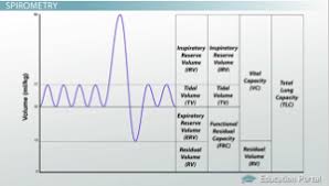 What Are Pulmonary Function Tests Video Lesson