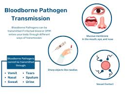 Image result for Bloodborne Pathogen Exposure