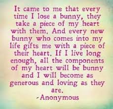 Check out this collection of sympathy quotes for the (for death loss of a pet. Rabbit Ramblings Rainbow Bridge Rabbit Rescue Poem Easter Bunny Poems A Tribute To Rescuers One Final R Bunny Quotes Rainbow Bridge Losing A Pet Quotes