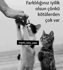 Mehmet Ozbay Adli Kullanicinin Instagram Engelli Issiz Adam Panosundaki Pin 2020 Hayvan Sozleri Hayvan Haklari Hayvan