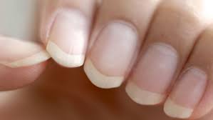 Assalamualaikum wr wb.saya anom dwijokangko ( kangko dalang boyolali ) mengucapkan terima kasih. Punya Kuku Yang Panjang Awas Ini 6 Bahayanya