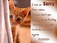 I am so stupid to say something so silly like that. I Am So Sorry Lets Be Friends Again Friends Quotes Sorry Quotes Friendship Pictures Quotes