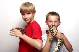 Best Pet Reptiles For Children Best Pets For Kids Reptiles Pet Pets
