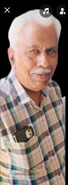 Birds of paradise plant care tips needed