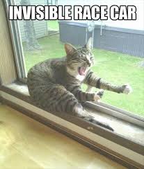 Getting the best fun pictures of animals. Top 25 Funny Animals Photos And Memes Quotes And Humor