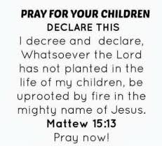 We did not find results for: Pray For Your Children Declare This I Decree And Declare Whatsoever The Lord Has Not Planted In The Life Of My Children Be Uprooted By Fire In The Mighty Name Of Jesus