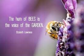 The Hum Of Bees Is The Voice Of The Garden Elizabeth Lawrence Real Life Bee Life