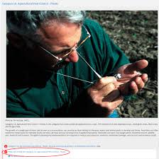 Acephate (orthene turf, tree and ornamental spray, pt. Nevada Online Pesticide Safety Course Extension University Of Nevada Reno