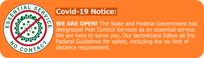 Near you 20+ pest control companies near you. Active Termite Pest Control Inc Services California