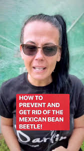 Dont let your hard work go to waste! Protect your plants from garden pest!  1. Companion planting: Plant beans alongside plants that naturally repel  Mexican bean beetles, such as marigolds, onions, ...