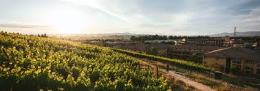 Maybe you would like to learn more about one of these? Napa Ca Spa Meritage Resort Spa Yoga Class Napa Valley Wellness Classes