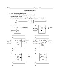 Biology Diffusion And Osmosis Worksheet Answer Key Osmosis Problems Worksheets Osmosis Practices Worksheets Worksheets
