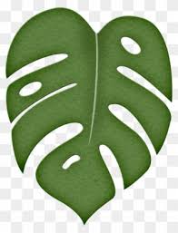 It is called the 'city of roses.'. Leaves Clipart Green Tropical Molde Costela De Adao Png Download 8429 Pinclipart