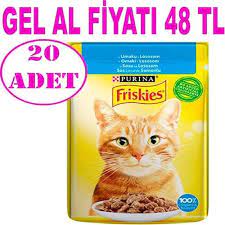 friskies kedi konservesi somonlu 85 gr 20 ad amazon pet center kedi konserve somon