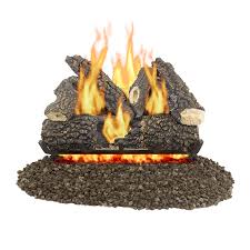 More than the addition of new features, revillusion ® is a completely new way of looking at fireplaces. Electric Fireplace Logs At Lowes Com