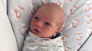 Lifecycles for the week of Nov. 15, 2019