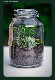 Flaschengarten Typ 2 Diy Set Terrarium Biotop Okosystem Stilvolles Wohnaccessoire Mit Echten Pfl Flaschengarten Pflanzen Terrarium