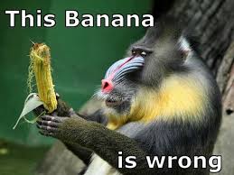 Baboon Having A Bad Day Meme Guy
