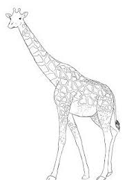 Pin On Drawing