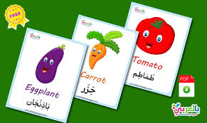 اسماء الخضروات بالانجليزي والعربي بالصور فلاش كارد الخضروات بالعربي نتعلم