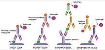 Enzyme-Linked Immunosorbent Assay versus Chemiluminescent ...