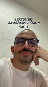 Cultura Yucateca: Realidades y Desafíos en Mérida