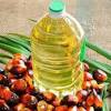 Source from malaysian palm oil manufacturers and suppliers. 1